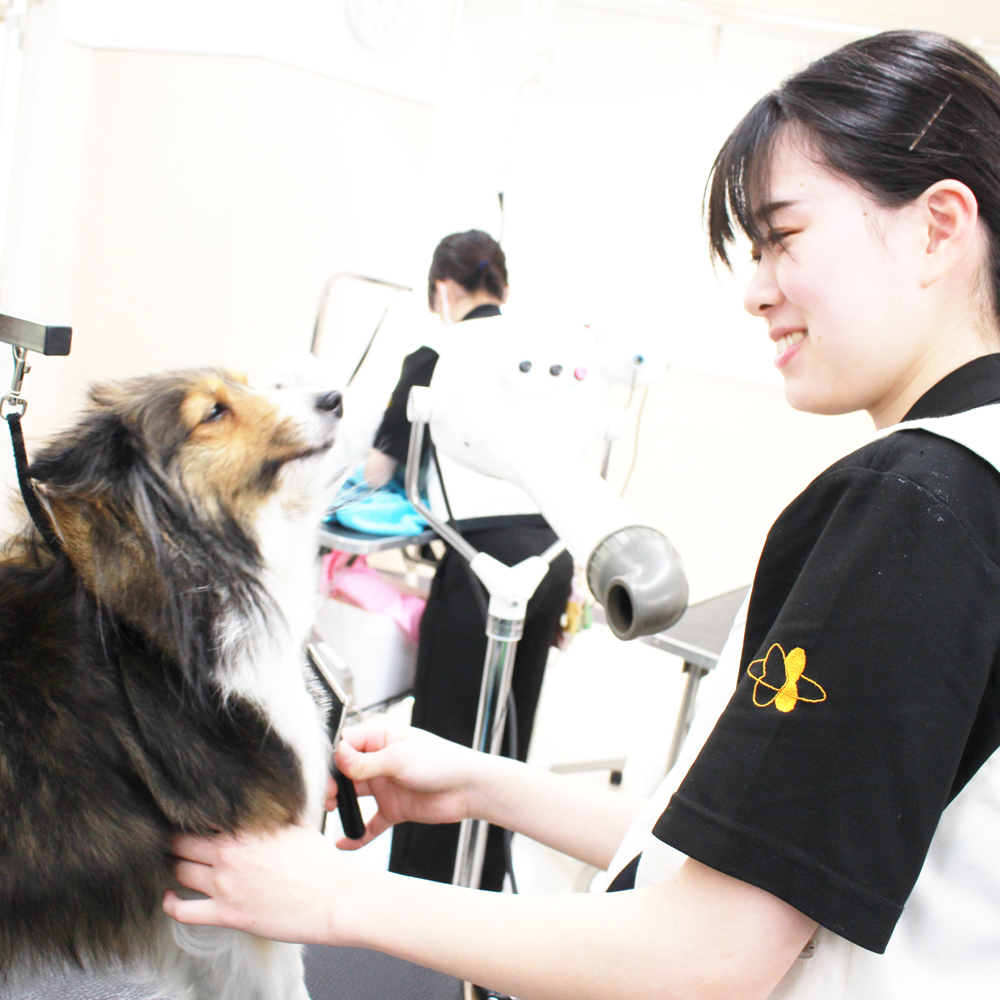 １年生のトリミング実習♪